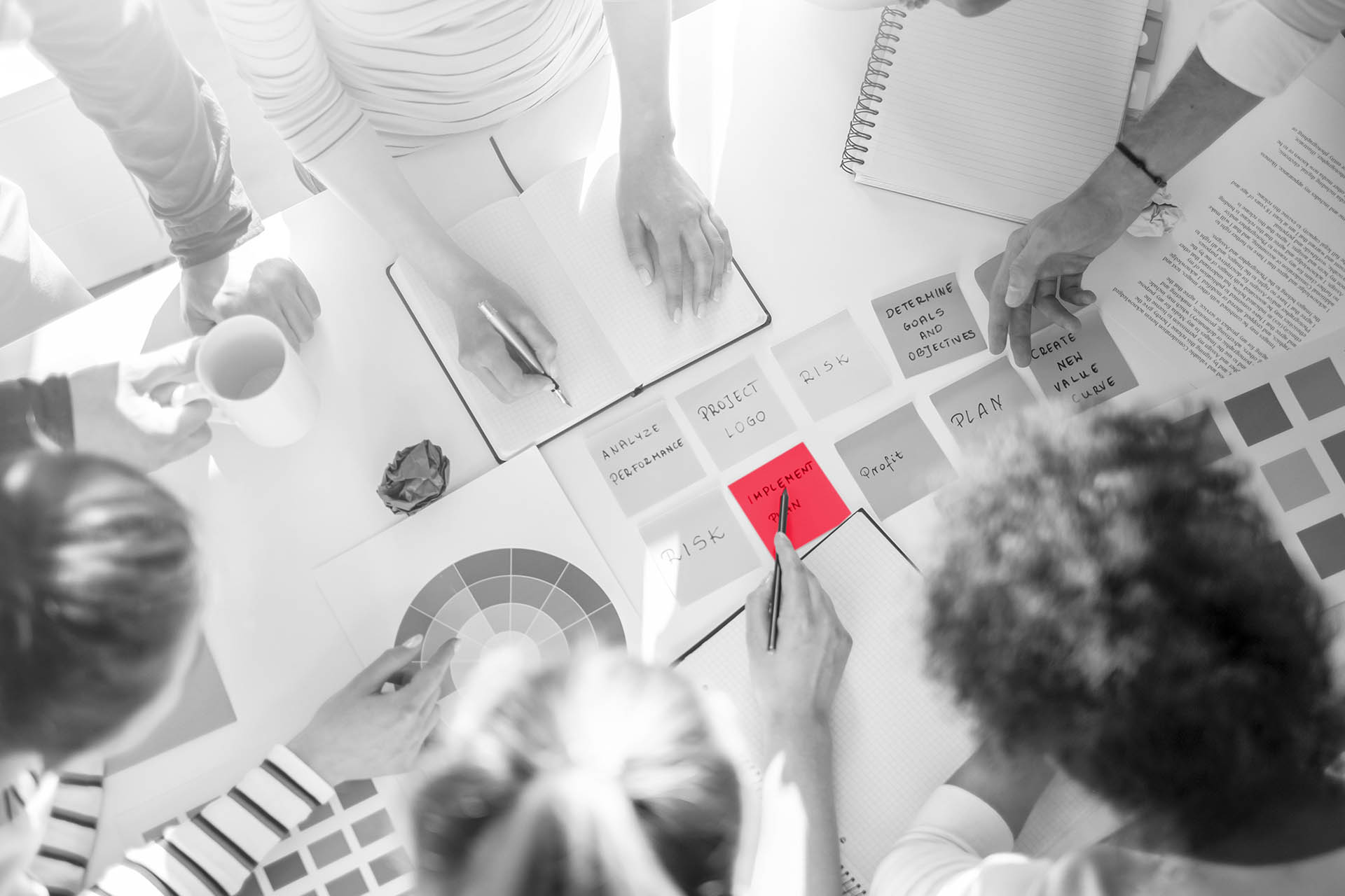 moll-real-Konzept-Oberhausen