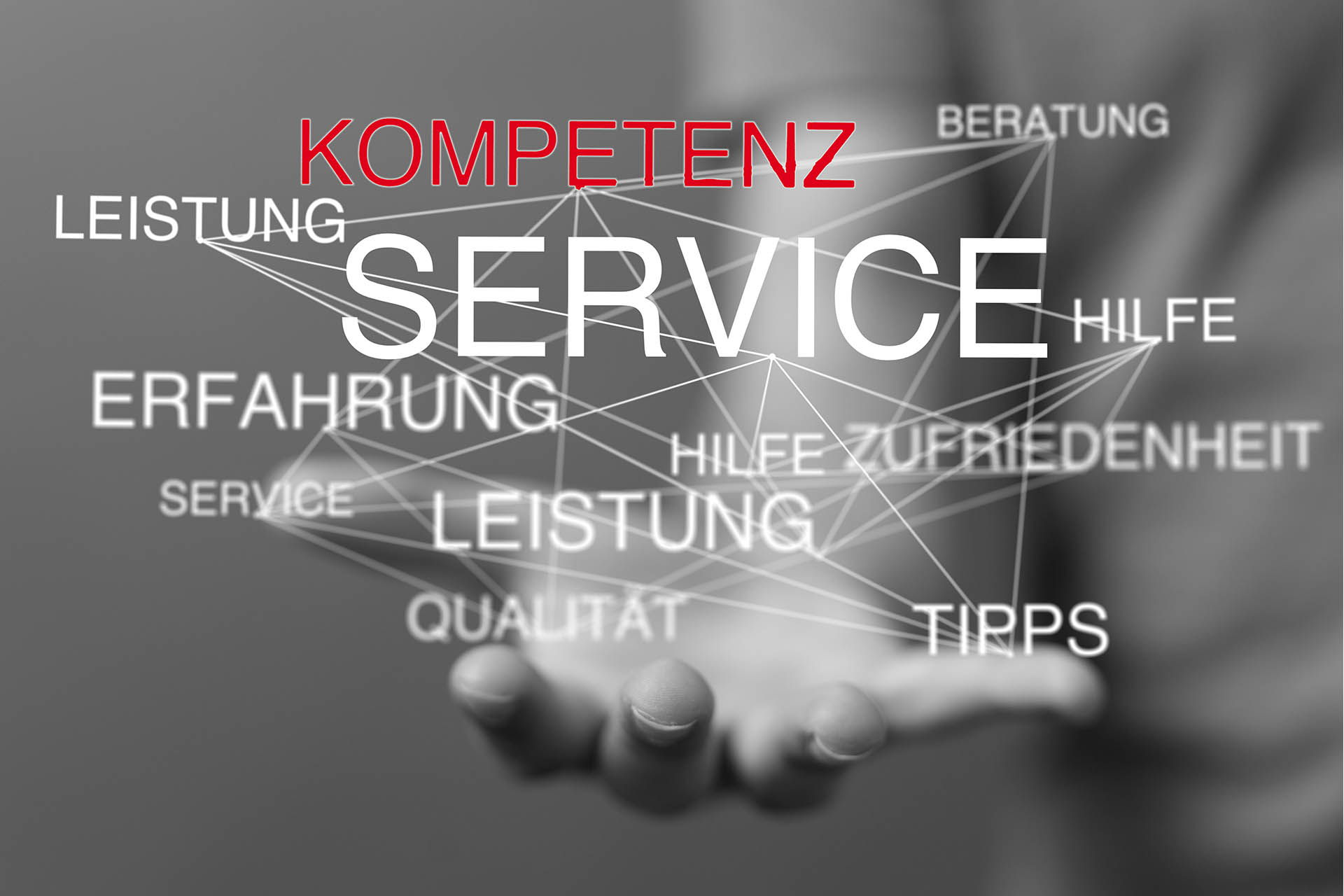 moll-real-werbeberatung-Kooperationen