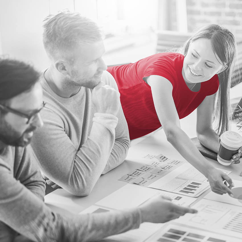 moll-real-werbeberatung-Spezialisten